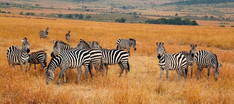 kidepo-Valley-National-park