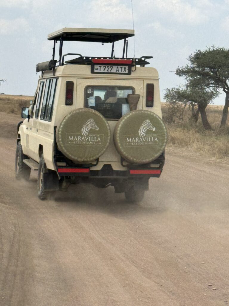 Viaje a Tanzania desde Latinoamérica