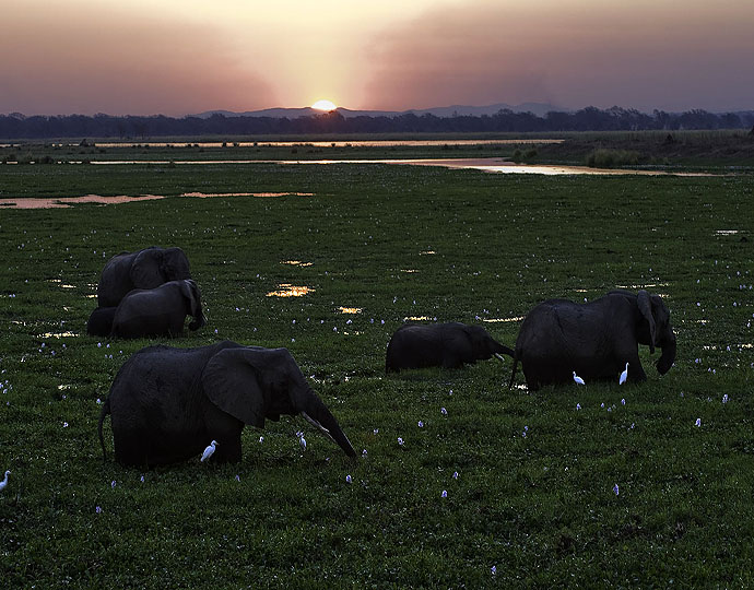 safari tanzania faq
