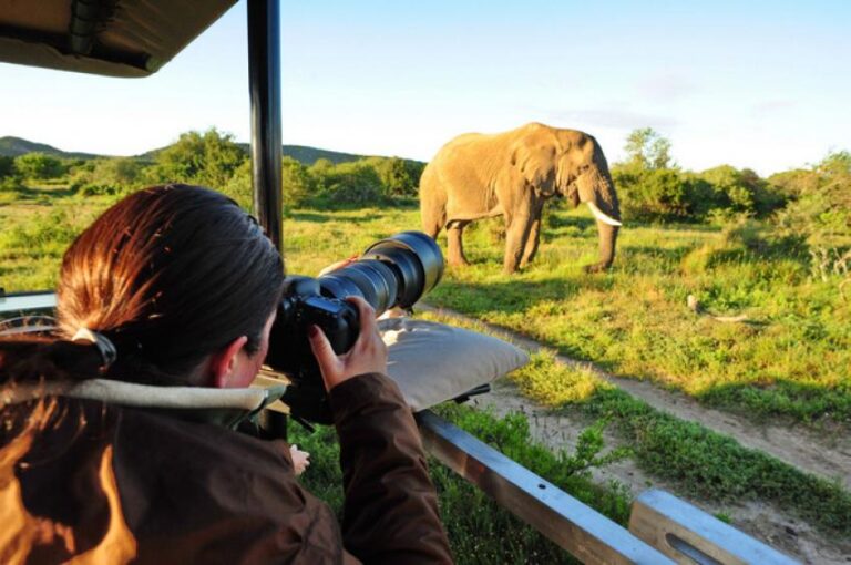 safari Tanzania 6 días desde España