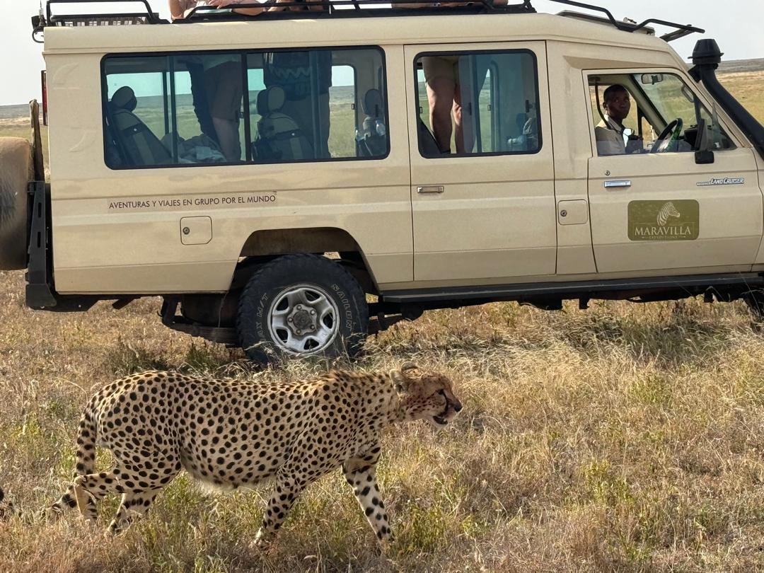 Agencia local de safaris en Tanzania