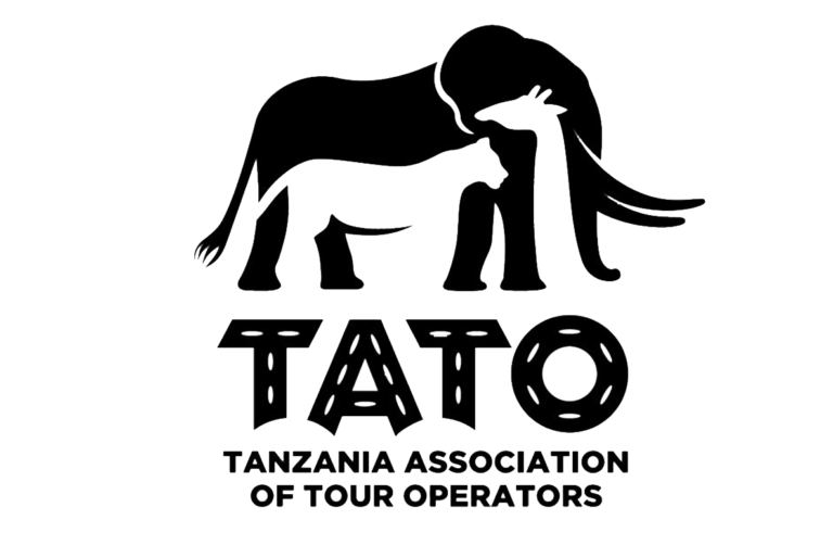 tato-vector-new-1-768x502